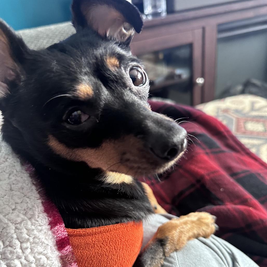 Daisy-In Foster — thumbnail 6