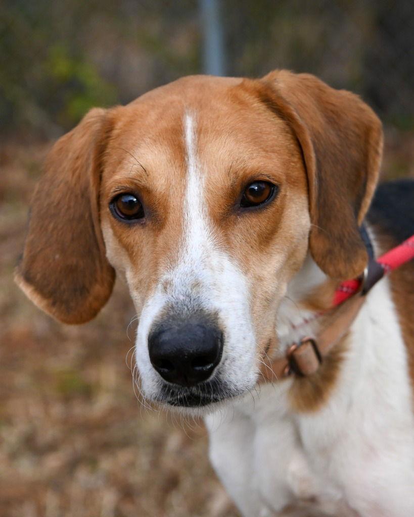 Da  Pokey thumbnail 2