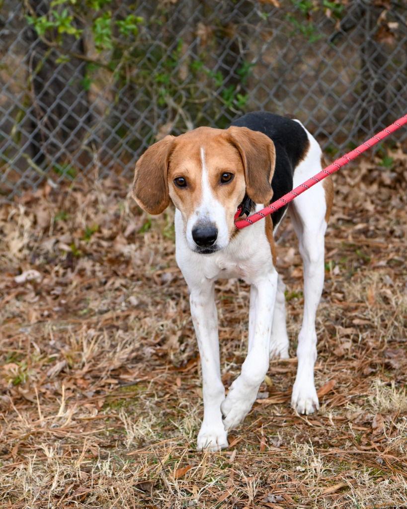 Da  Pokey thumbnail 3