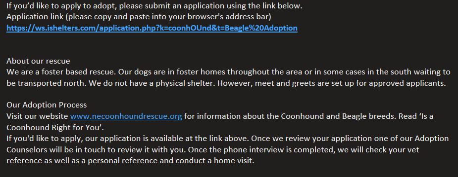 Enlarge Canyon, an adopted Coonhound in Lexington, MA image 3/4