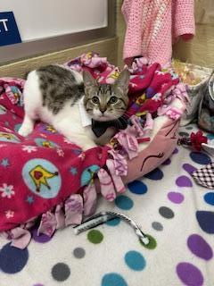 Mimsey — thumbnail 6