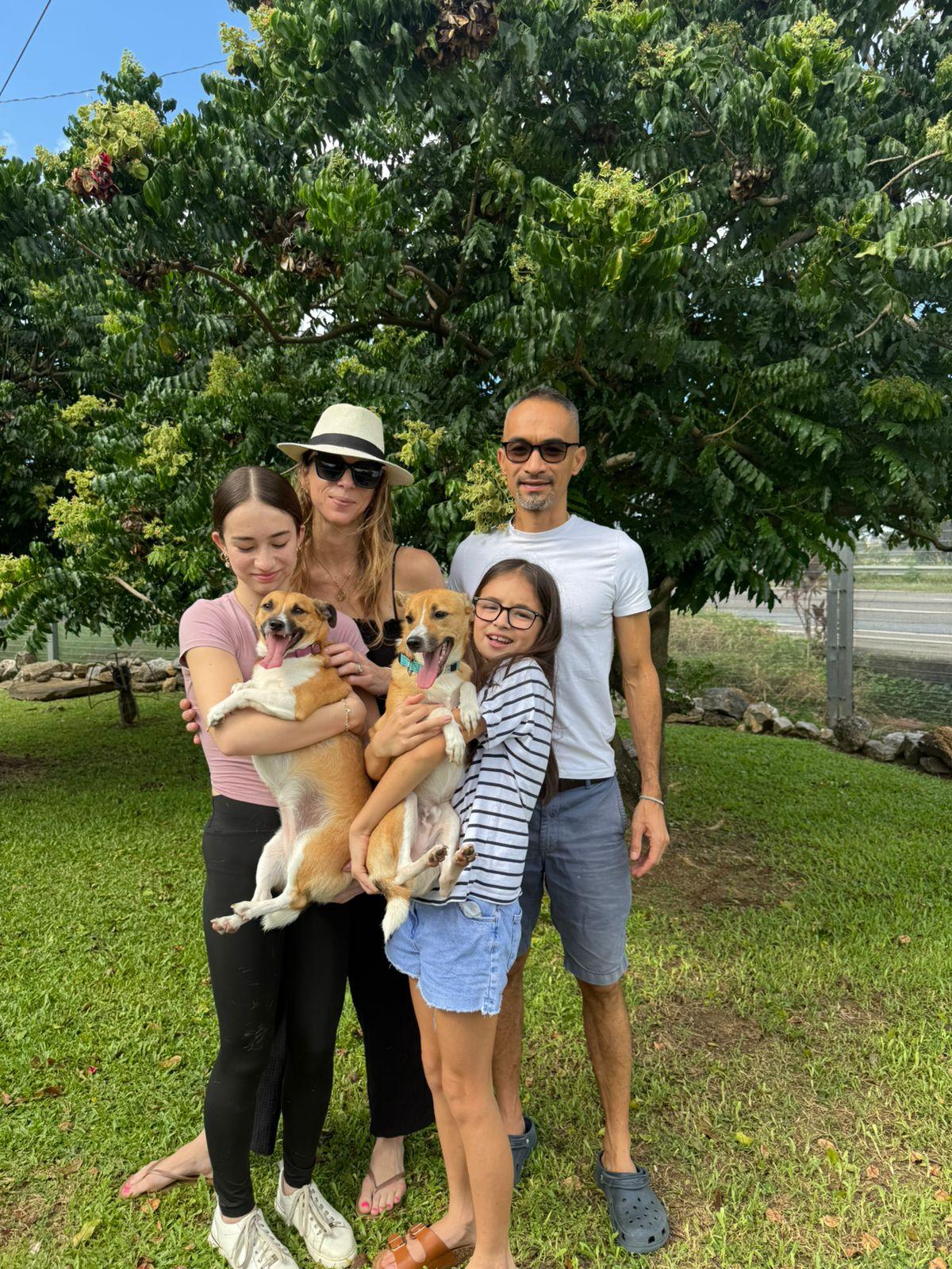 Shelby, a Adoptable mixed breed in Erin, ON image 4/6