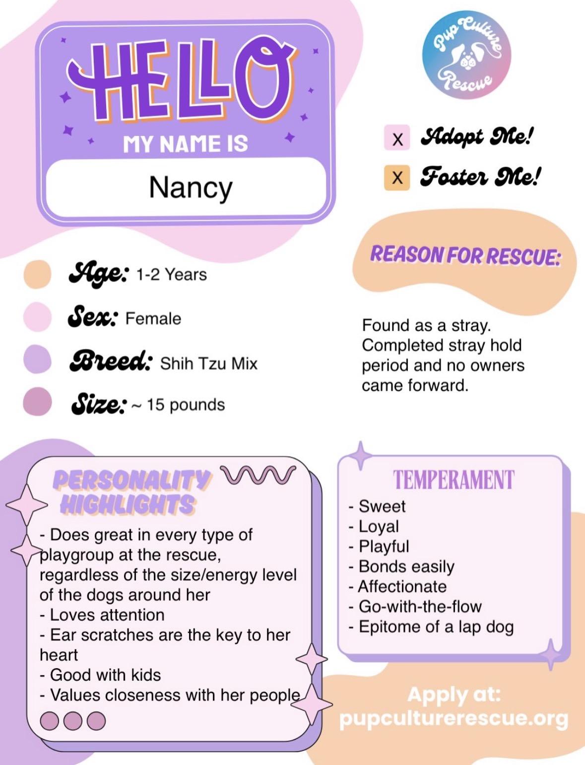 Enlarge Nancy, an adopted mixed breed in Pasadena, CA image 2/5