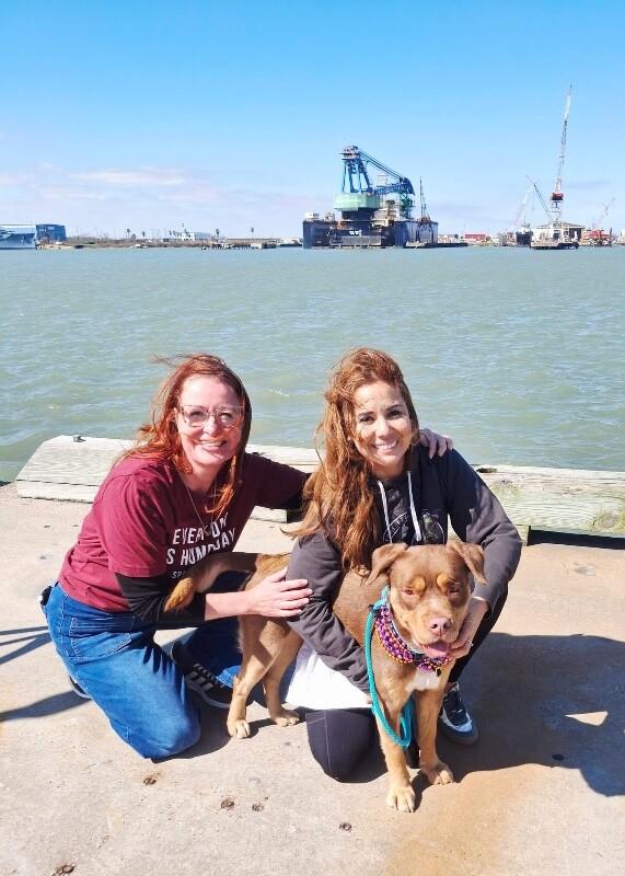 Club Scout the Ultimate Pal — thumbnail 2