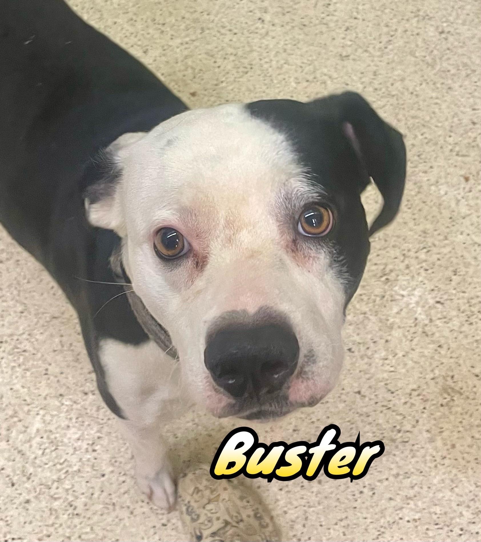 Buster