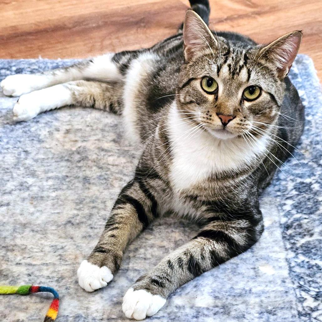 Dakota — thumbnail 2