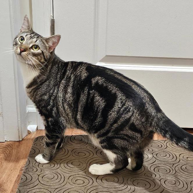 Dakota — thumbnail 5