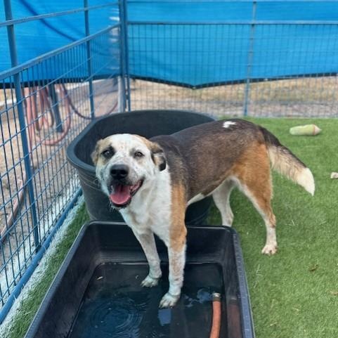 Trigg — thumbnail 3