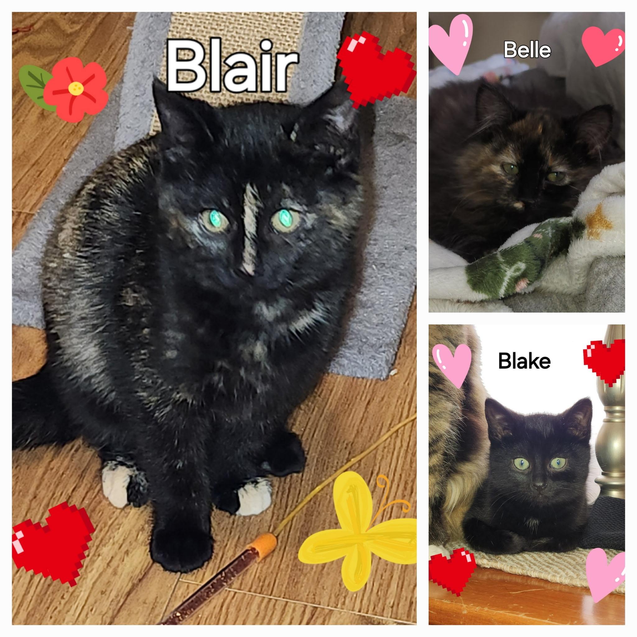 Blair photo 3