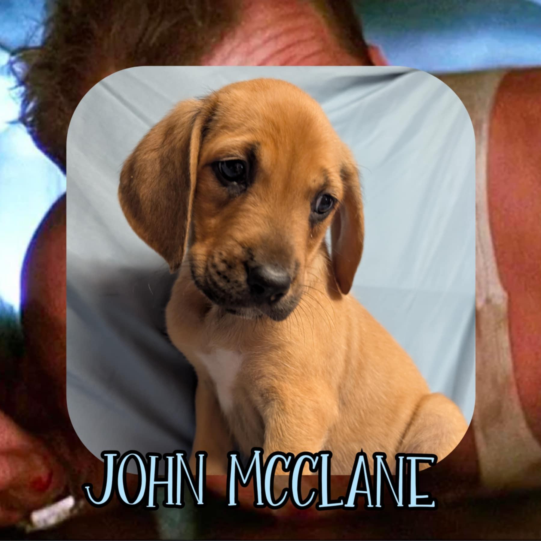 John McClane