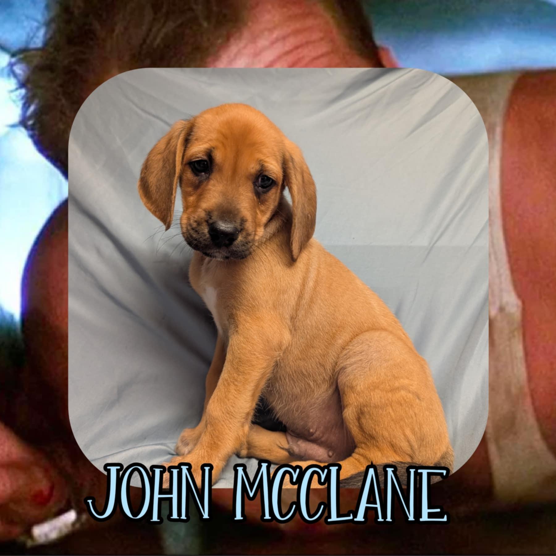 John McClane