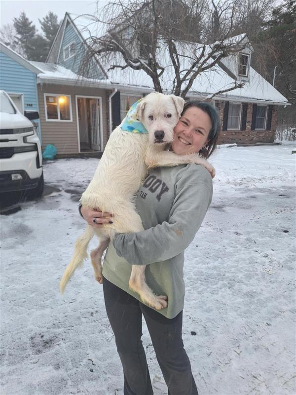 Olaf, a Adoptable mixed breed in Gloversville, NY image 6/6