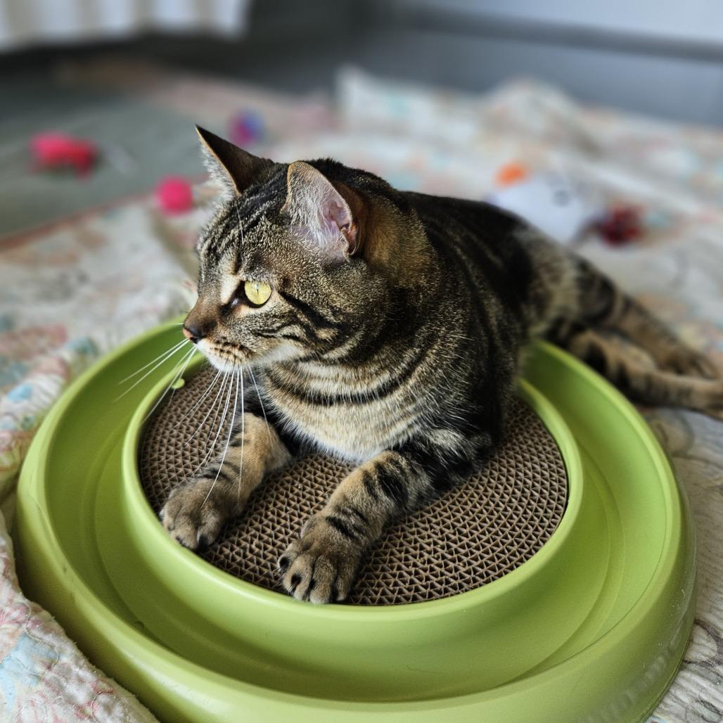 Shakira — thumbnail 2