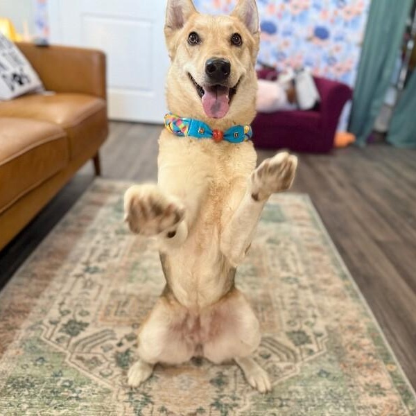 Kira Cuddles Cute — thumbnail 2