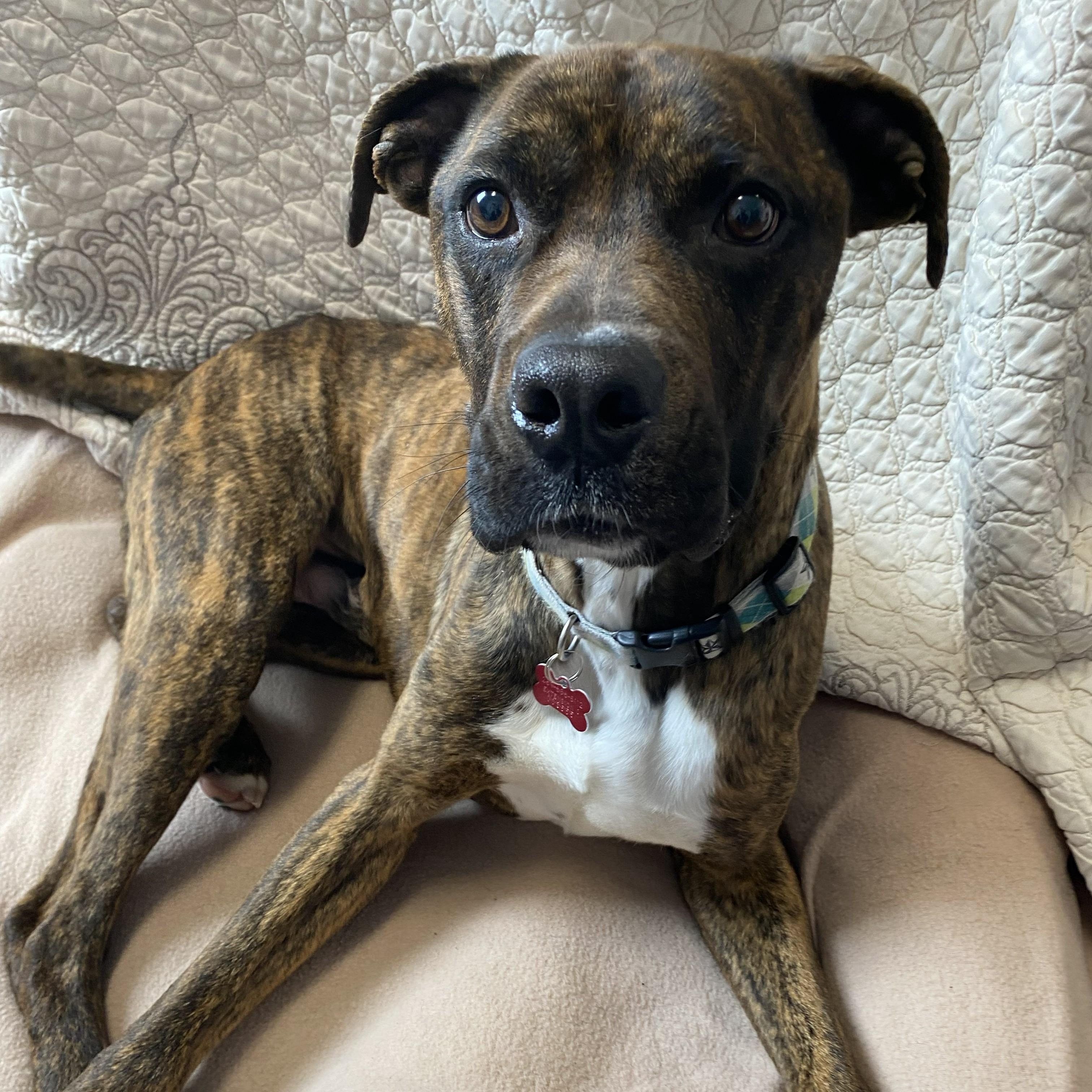 Rome — thumbnail 2