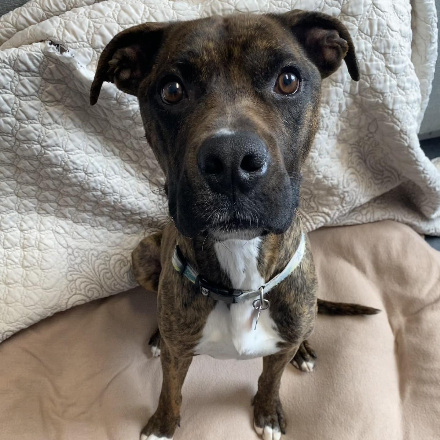 Rome — thumbnail 3