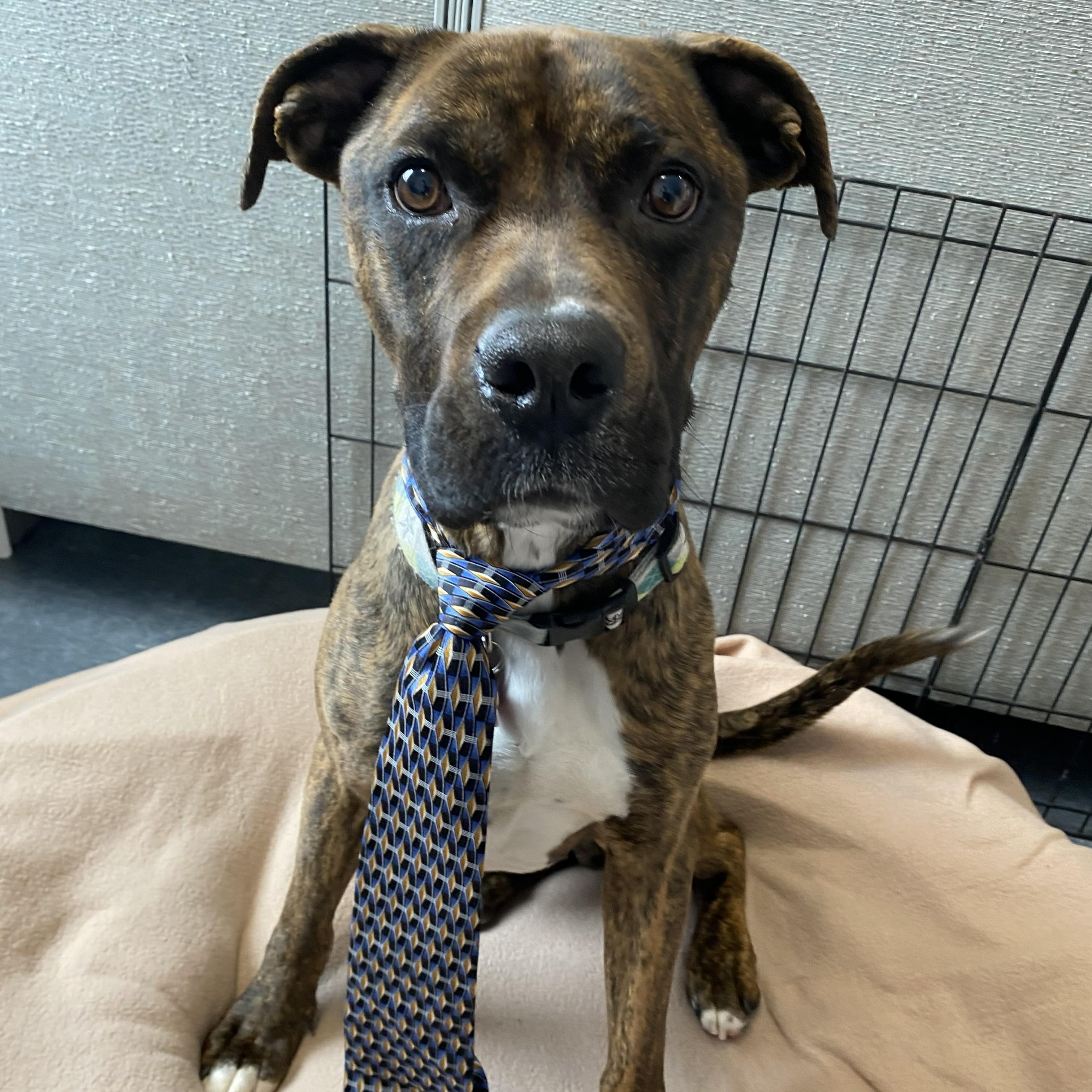 Rome — thumbnail 4