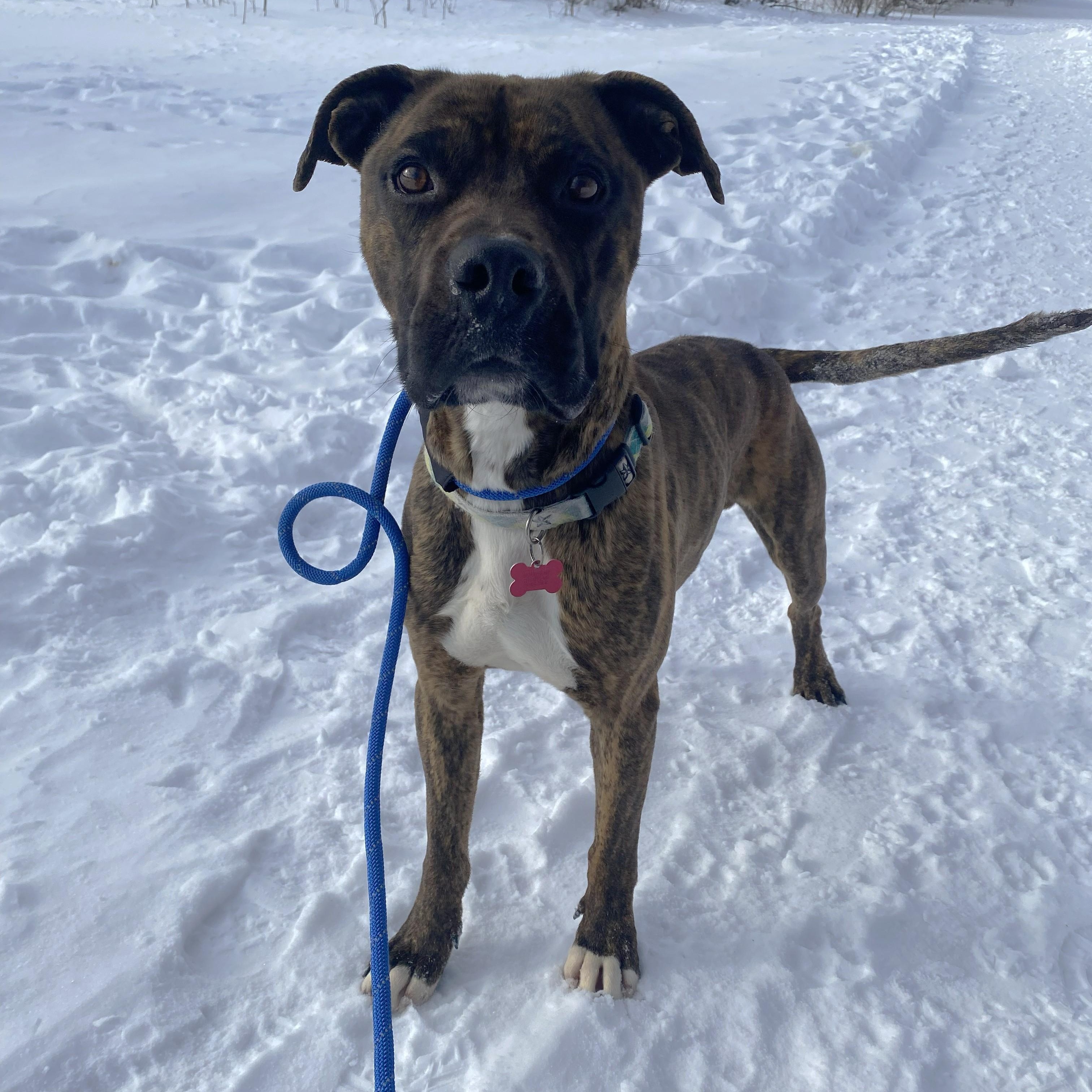 Rome — thumbnail 5