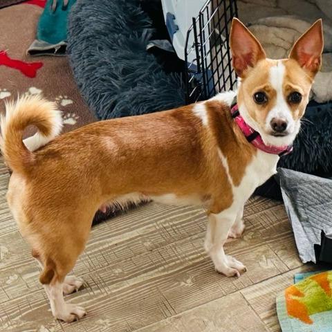 Thelma Chi — thumbnail 2