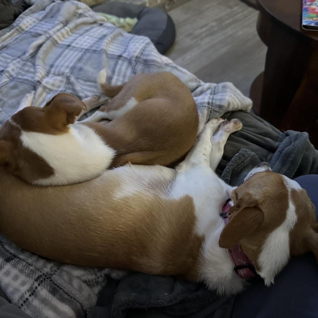 Thelma Chi — thumbnail 3