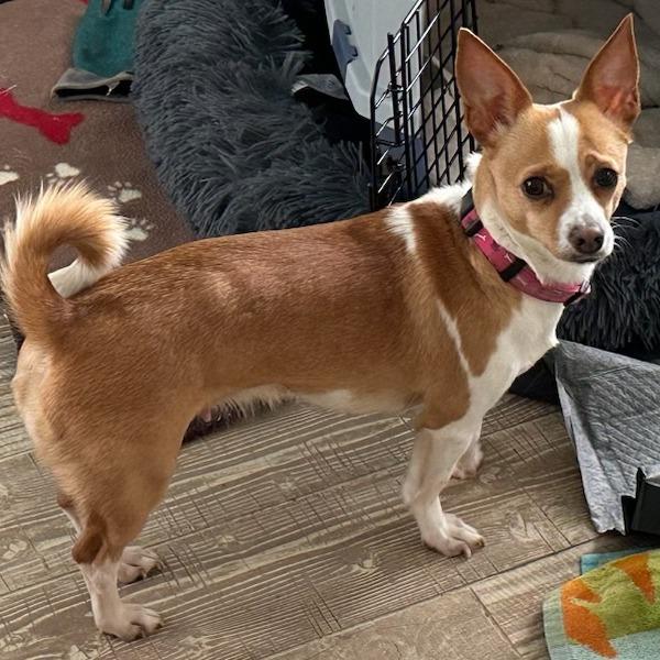 Thelma Chi — thumbnail 4