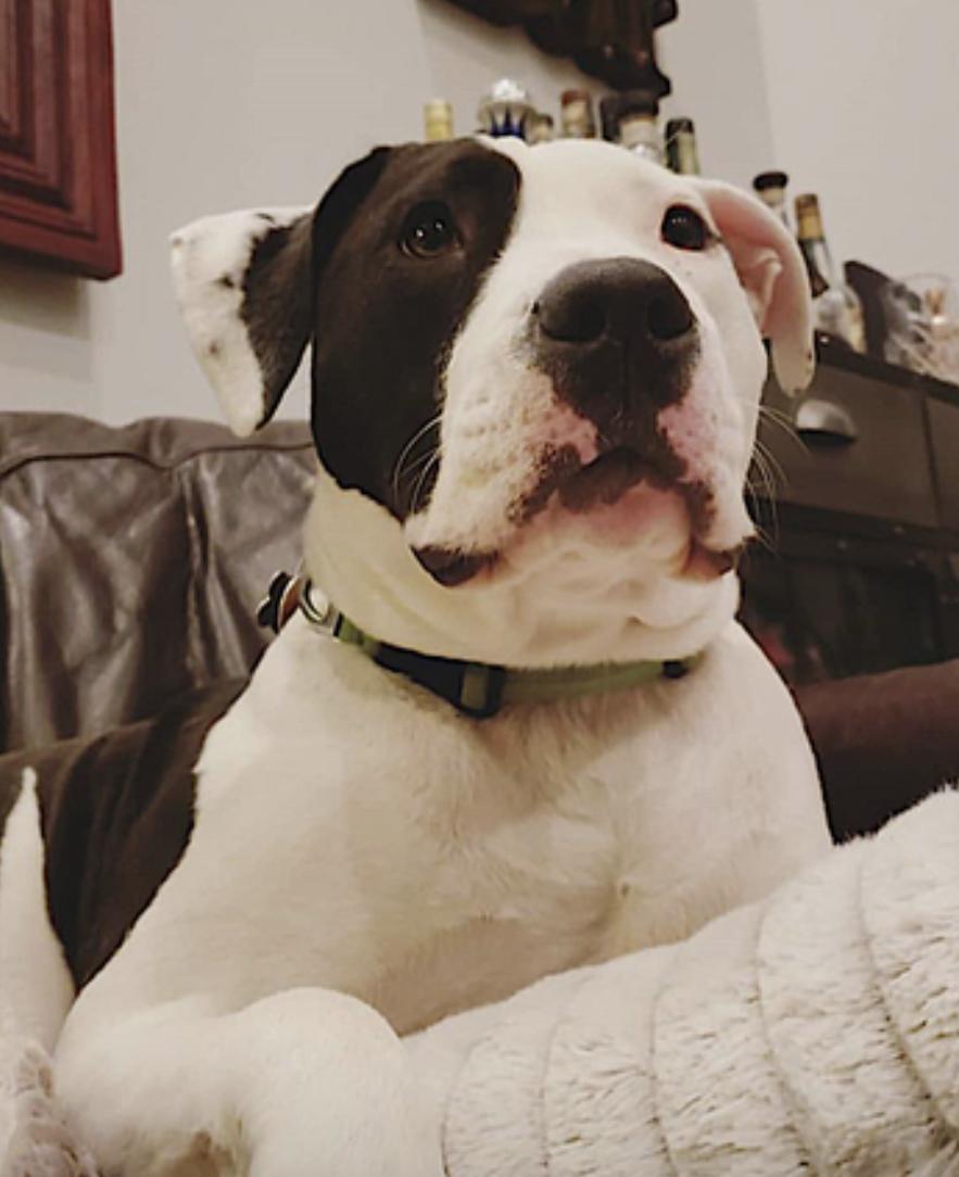 April — thumbnail 3