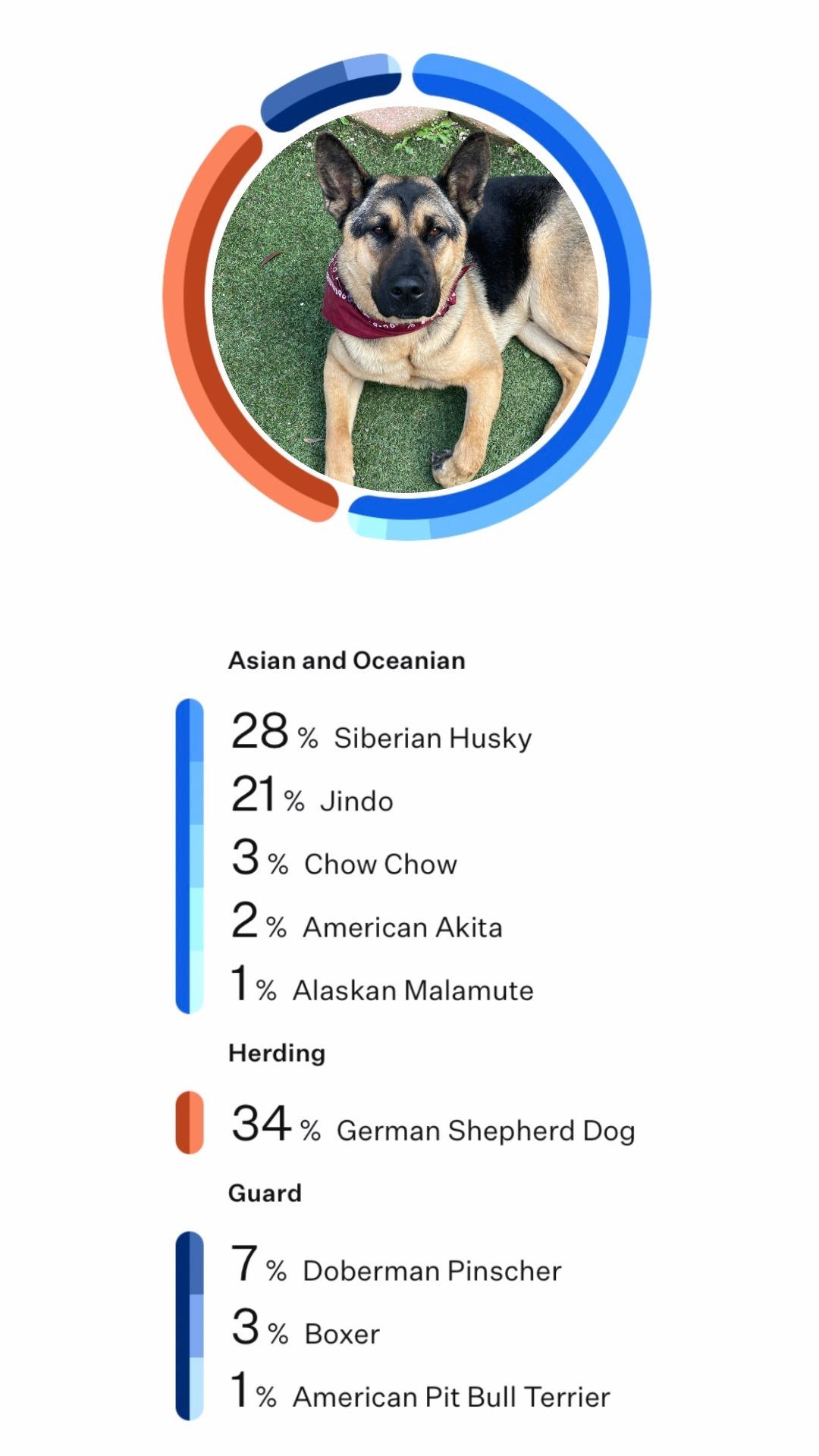 Mango , an adopted mixed breed in Los Angeles, CA image 6/6