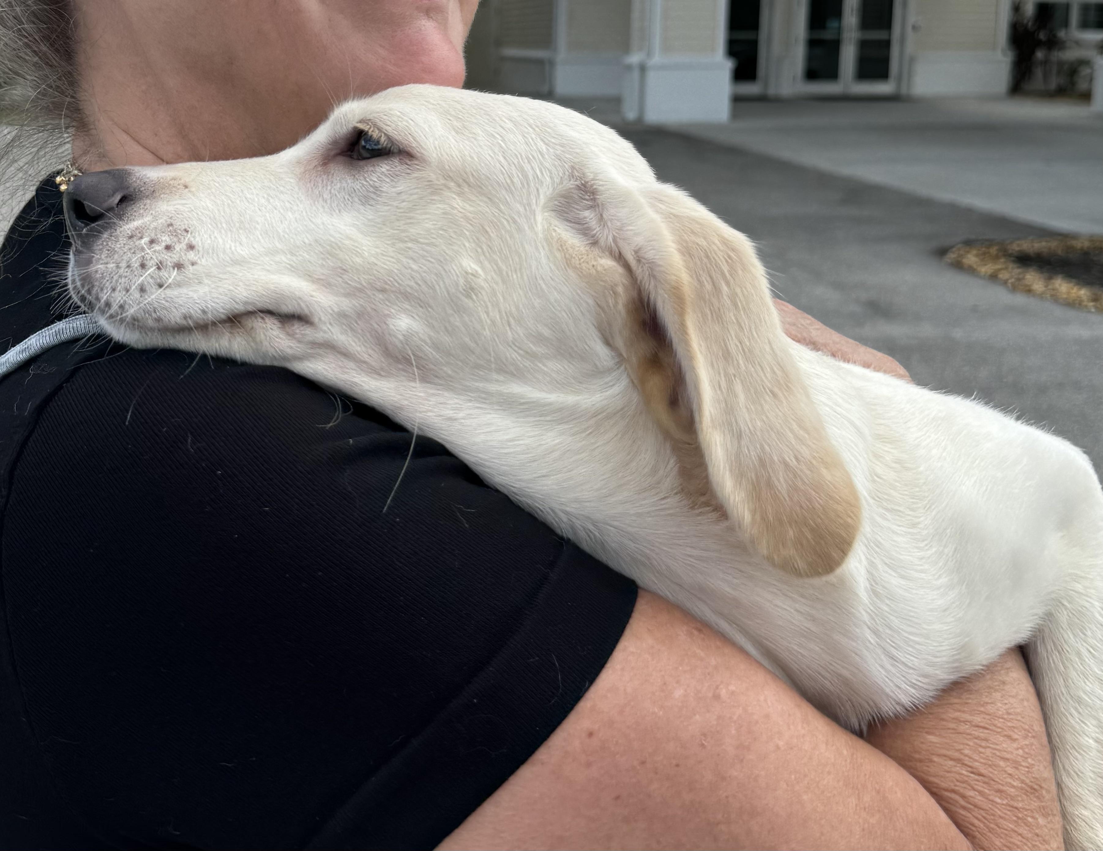 Puppy Love!!!