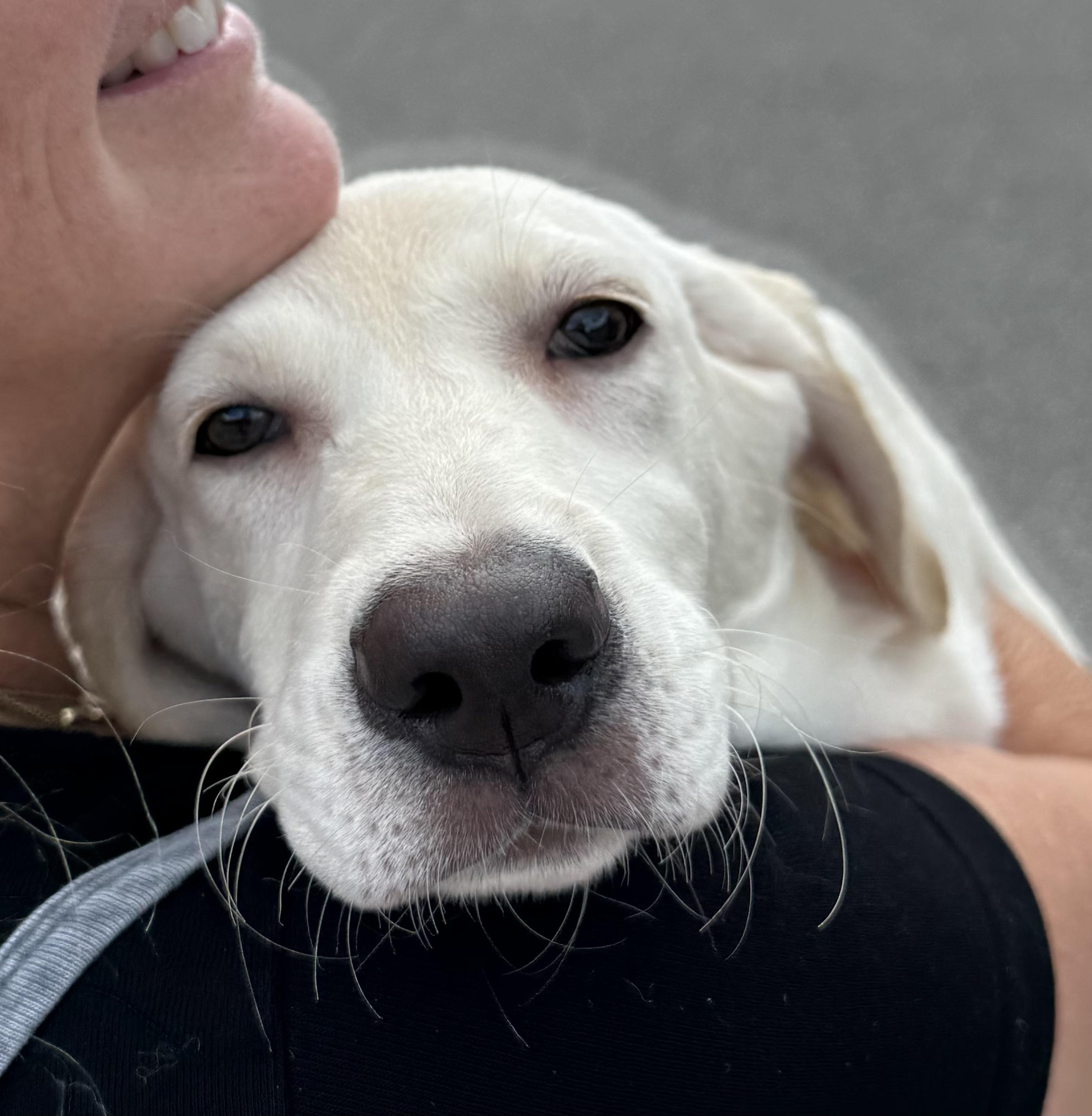 Puppy Love!!!