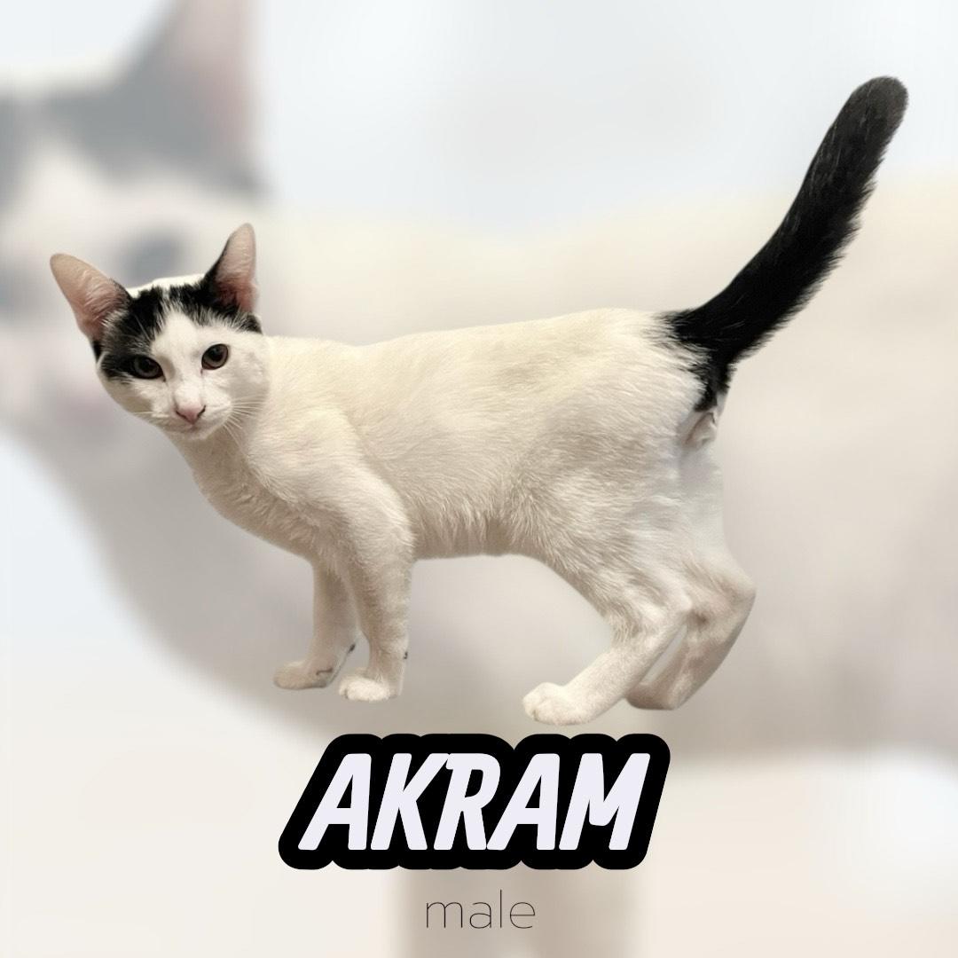 Akram
