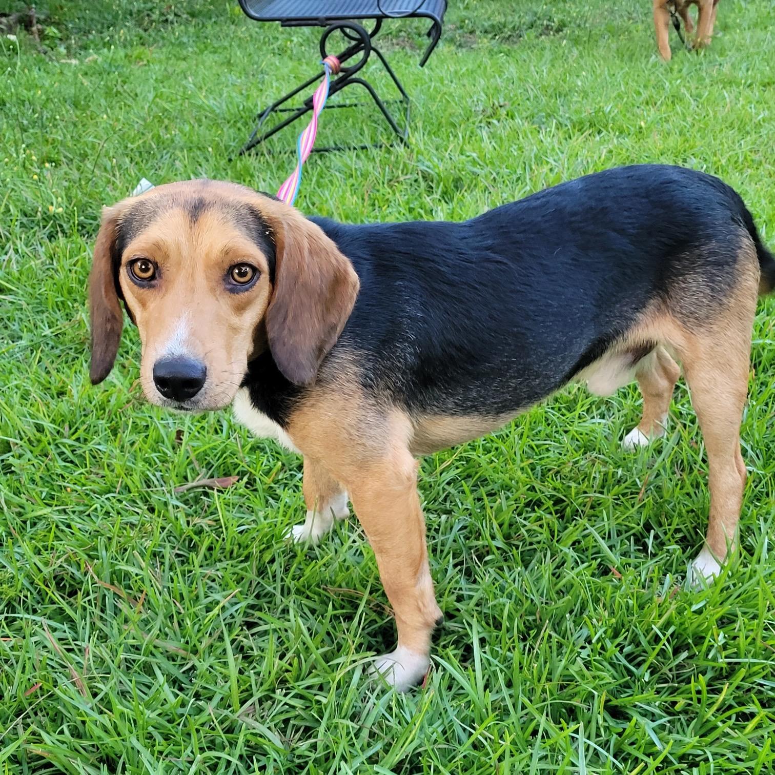 Marco