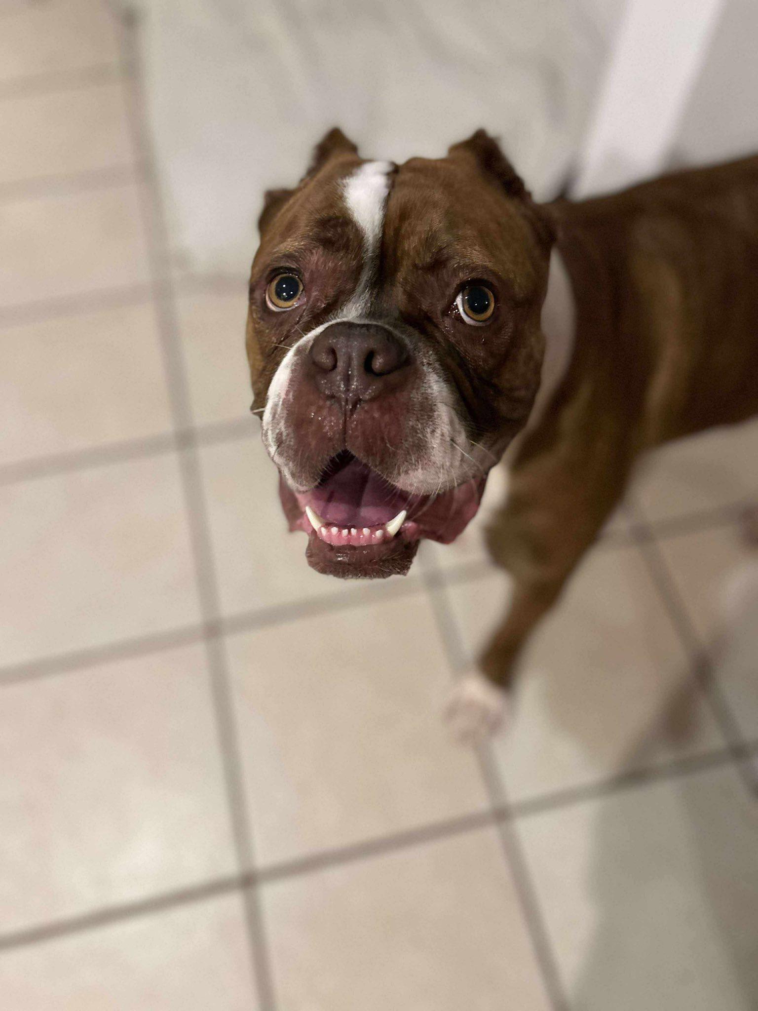 Brunhilda thumbnail 3