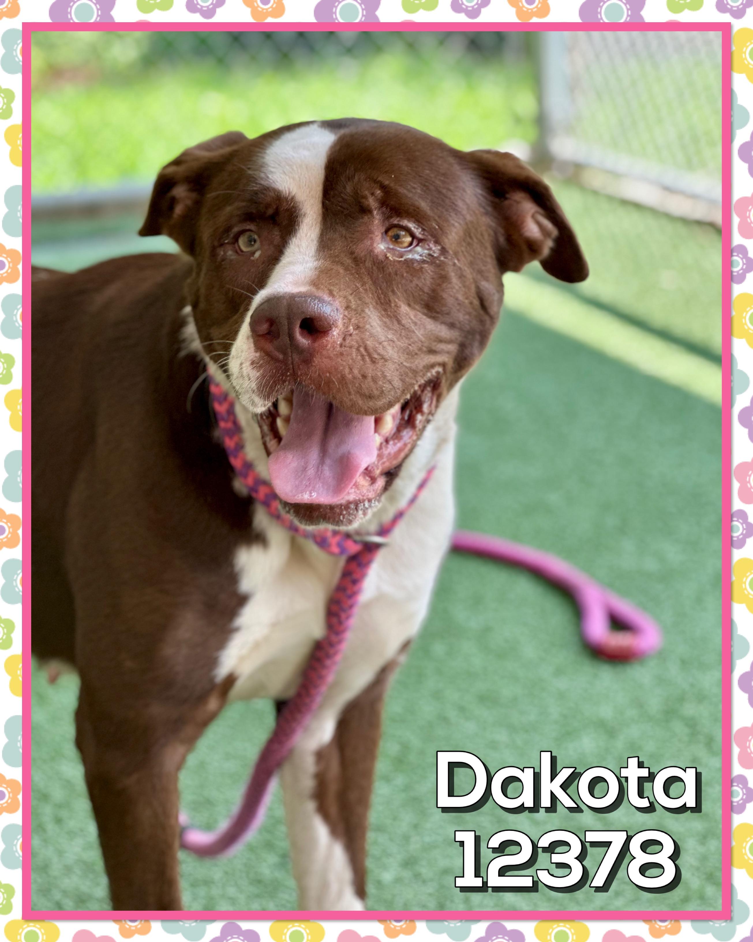 DAKOTA