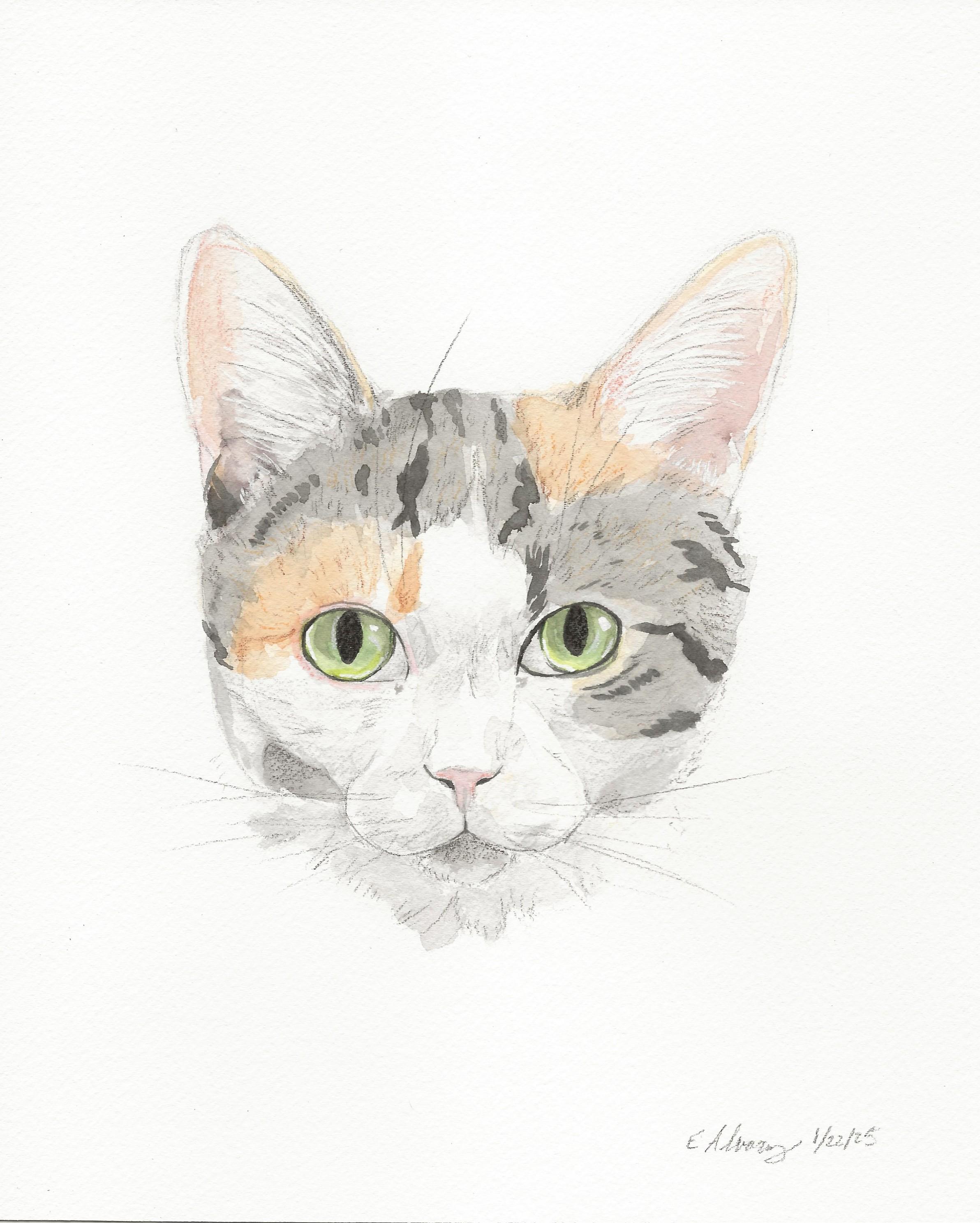 Enlarge Petula, a Adoptable Domestic Short Hair in New Cumberland, PA image 4/4