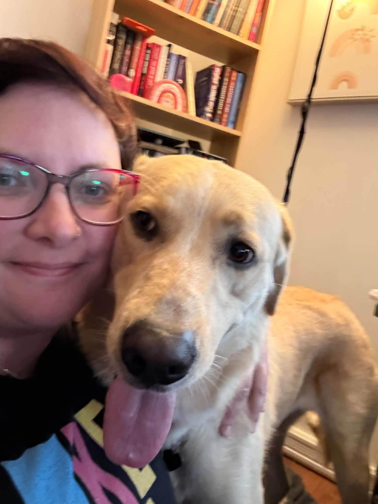Enlarge Stella, a Adoptable Labrador Retriever in Woodstock, ON image 5/5