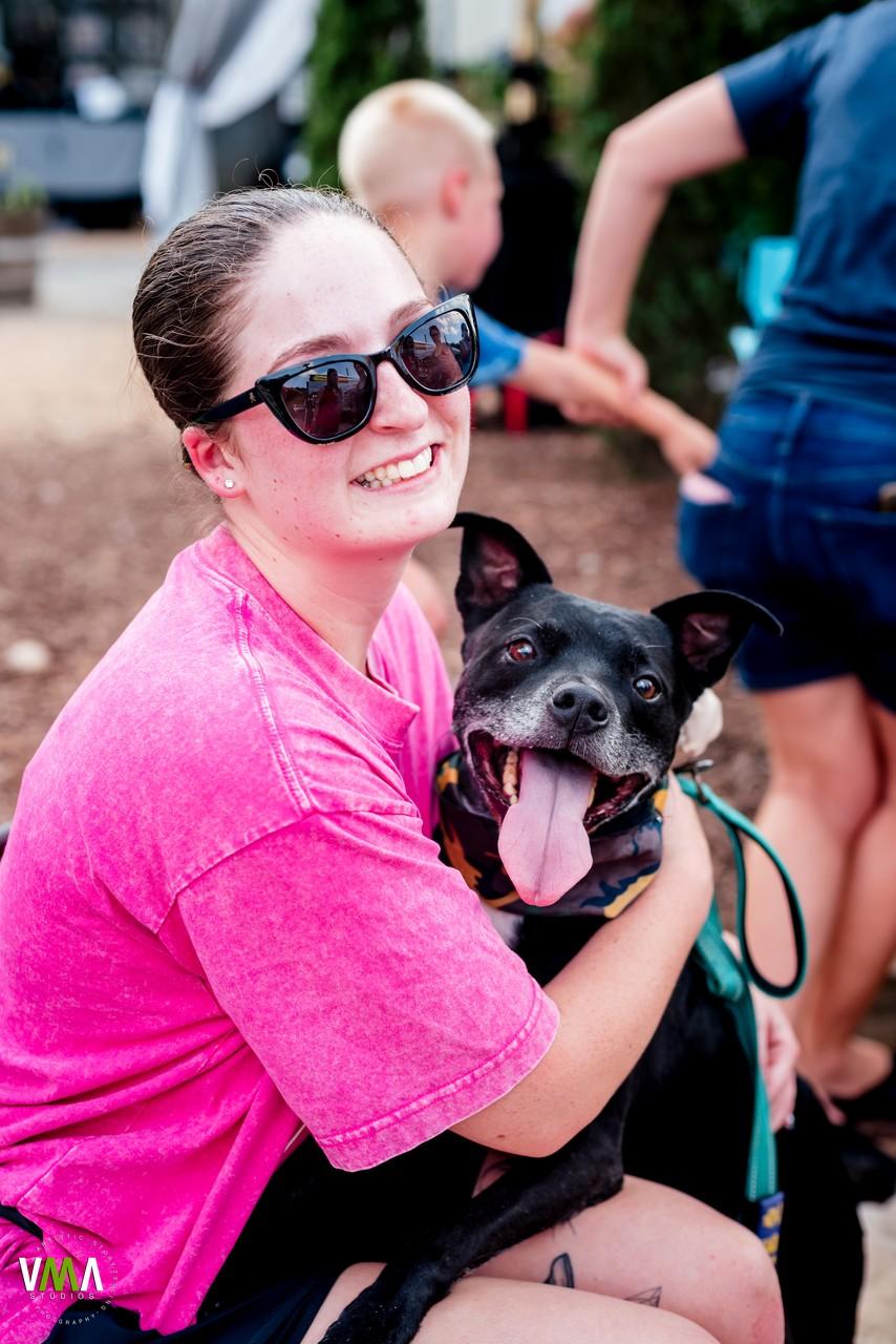Tucker , Adoptable, Senior Male Terrier & Black Labrador Retriever.