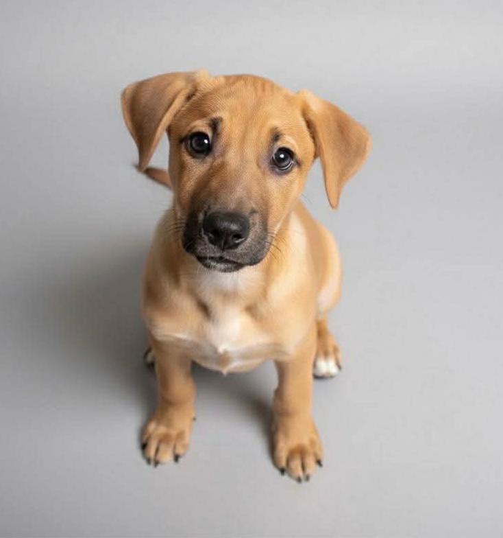 Misschief thumbnail 2