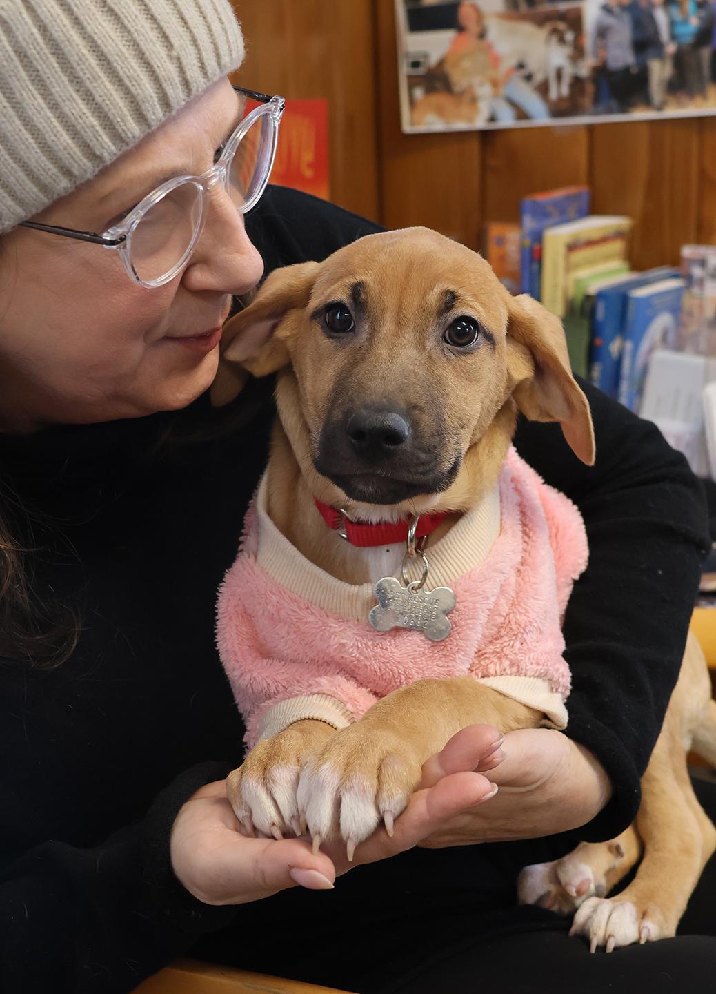 Misschief thumbnail 3