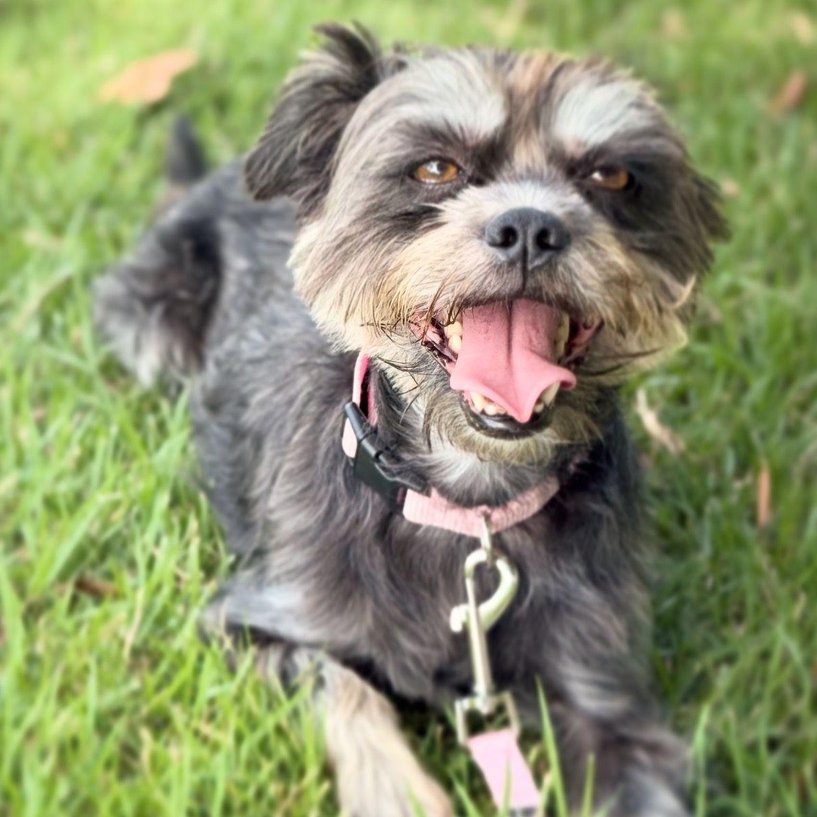 Sophie