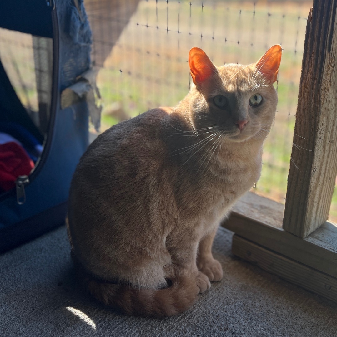 Jordan — thumbnail 2