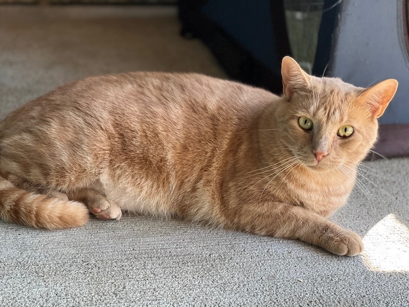 Jordan — thumbnail 3