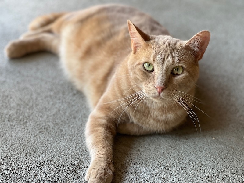 Jordan — thumbnail 4