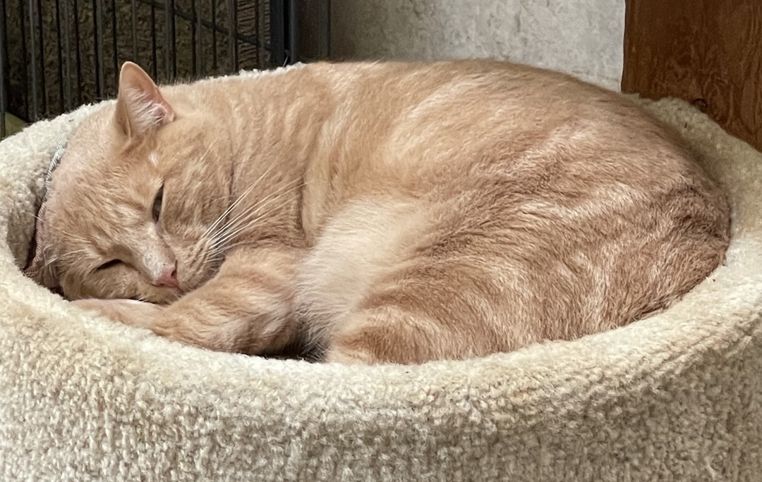 Jordan — thumbnail 5