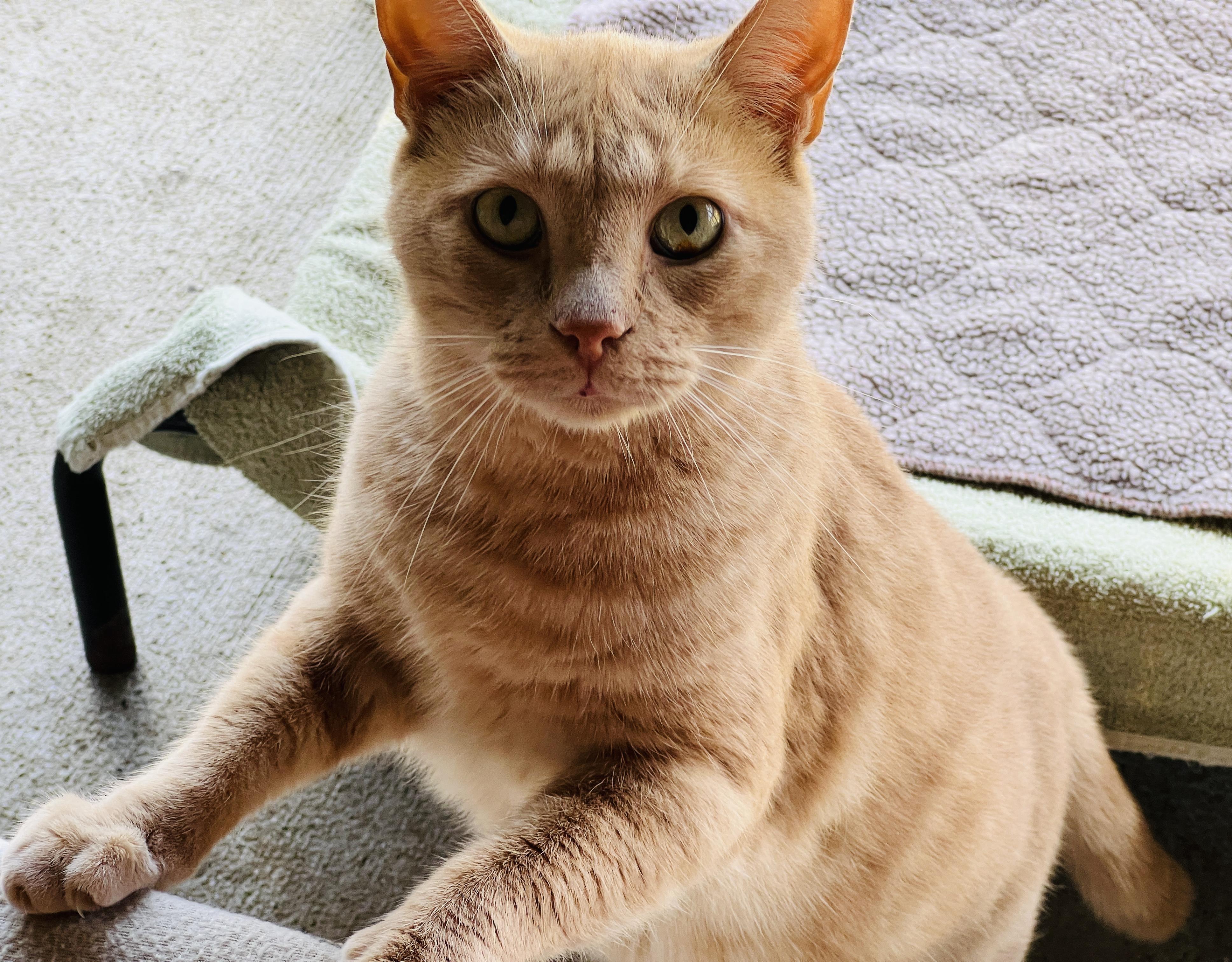 Jordan — thumbnail 6