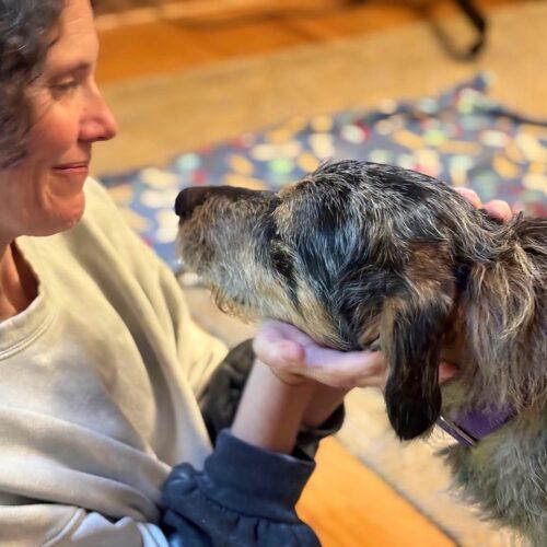 Enlarge Vega #2, a Adoptable mixed breed in Christiansburg, VA image 3/6