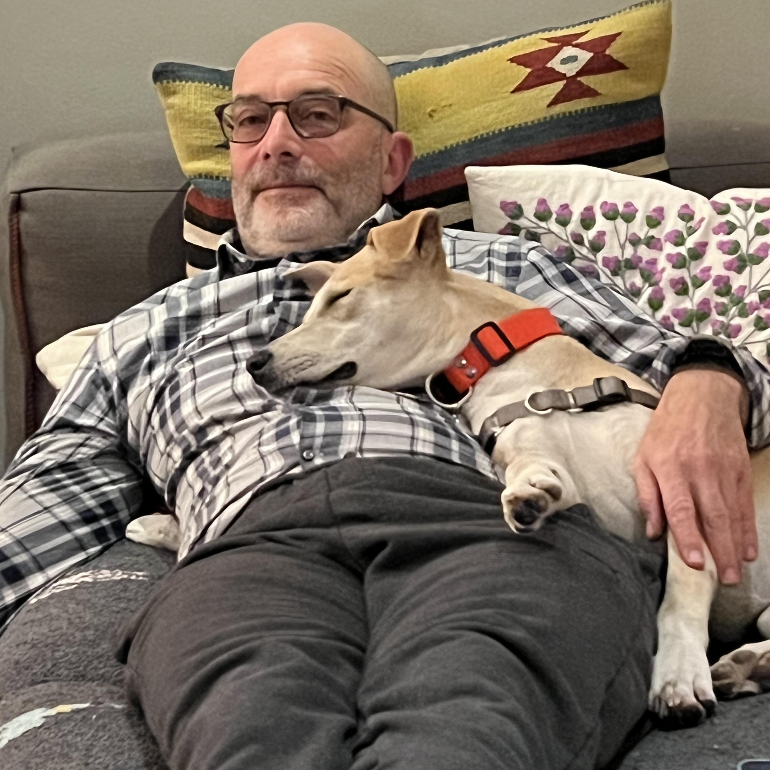 Enlarge Pera, a Adopted mixed breed in North Hollywood, CA image 2/6