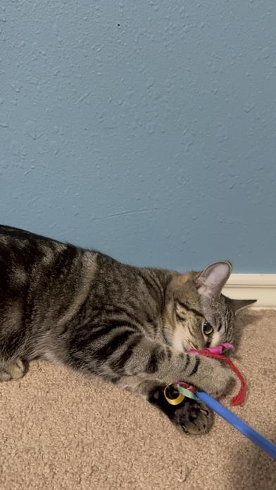 Ophelia — thumbnail 2