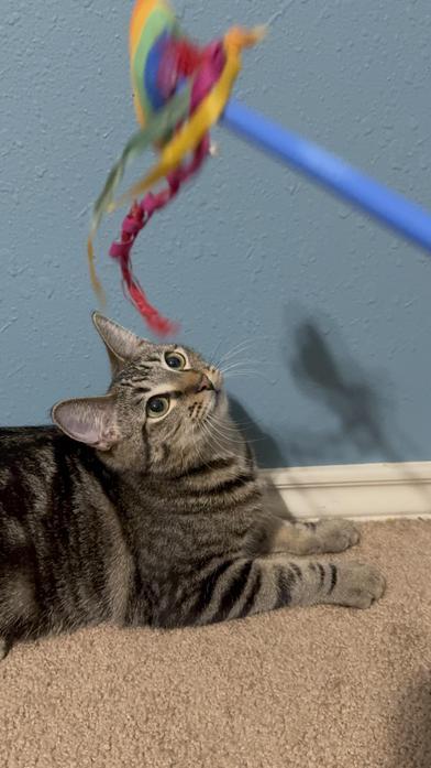 Ophelia — thumbnail 3