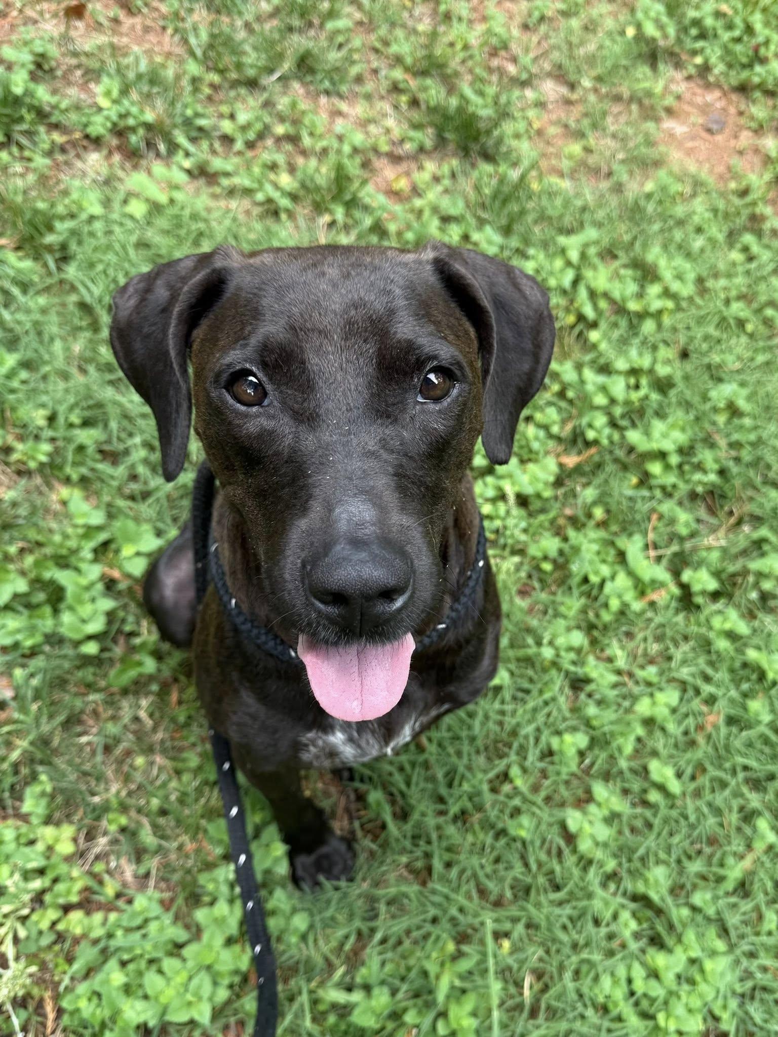 Bella