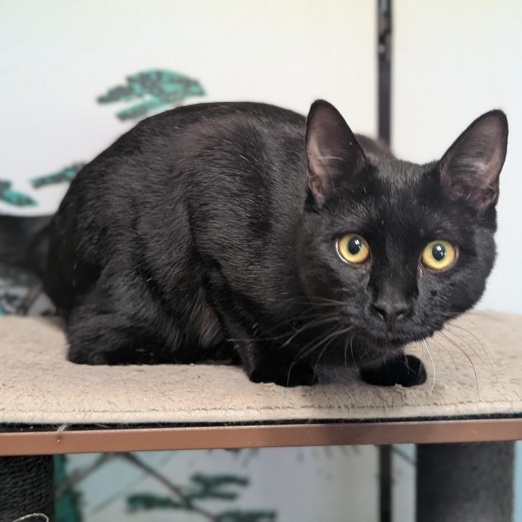 Mazda — thumbnail 2